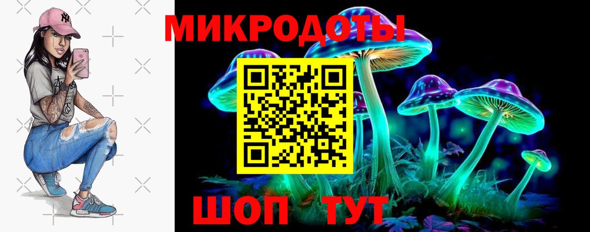 Галлюциногенные грибы MAGIC MUSHROOMS  Псилоцибиновые грибы Magic Shrooms  Фрязино  Вход с VPN 